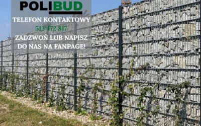 Bluszcz na ogrodzeniu